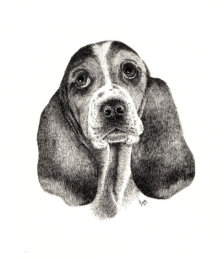 Ink on paper, 243x192mm, £125