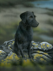 Acylic on canvas, Not for sale