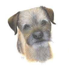 Acrylic on paper, Not for sale