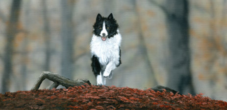 Acrylic on canvas, 610x300mm, £285