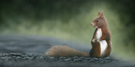 Acrylic on canvas, 610x300mm, £285