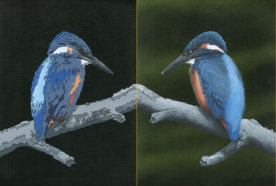 Acrylic on canvas, 450x360mm, £255