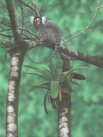 Acylic on canvas, Not for sale